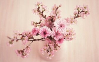Flowers Vintage Retro Wallpaper