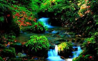 Forest River Falls
