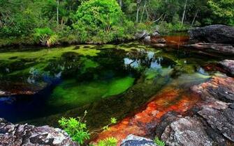 Ca O Cristales HD Wallpaper Background Image
