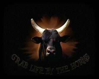 The Horns Wallpaper Grab Life By Background For Desktops