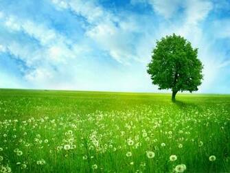 Image And Photos Summer Pictures Seasons Of Season