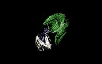 Jameson Article Wallpaper Wallpoper