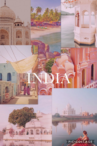 Portfolio In Wallpaper