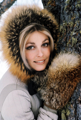 Sharon Tate Wallpaper