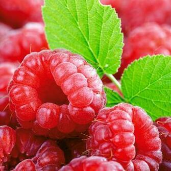 Fresh Fruit iPad Wallpaper Background HD