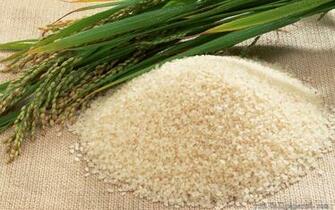 Ultra HD Rice Wallpaper X542q6v 4usky