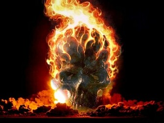 Cool Skulls Wallpaper All New