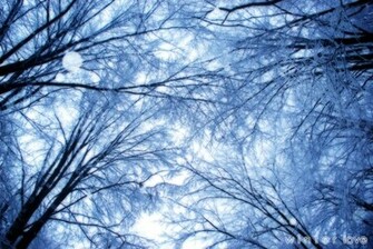 Winter Love Wallpaper Pack By Argentumchloride