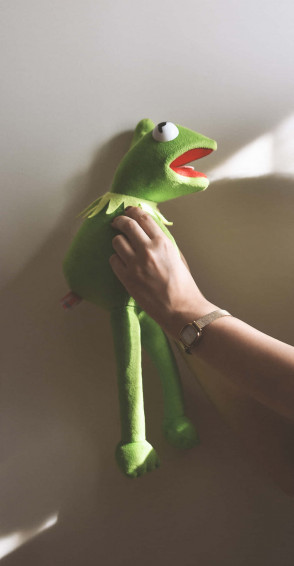 Aesthetic Kermit Wallpaper
