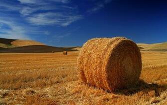 Search Keywords Top HD Wallpaper Collection For Pc