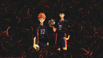 Haikyuu Anime Shoyo Hinata 4k HD Wallpaper