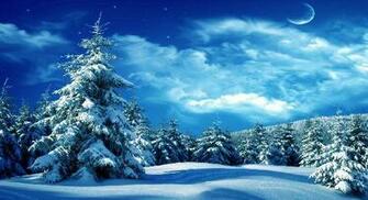 The Form Below To Delete This Wonderful Winter Night Scene Wallpaper