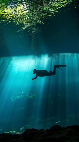 Diver Underwater Sunbeam 4k Ultra HD Mobile Wallpaper
