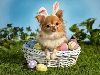 3d Beautiful Easter Wallpaper HD 2u