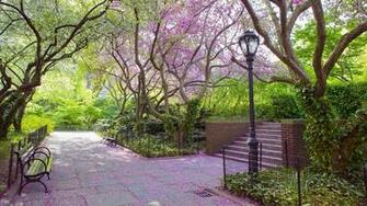 Central Park In Spring Screensaver Gildiowebda32 S Soup