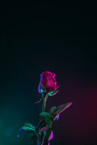 4k iPhone Wallpaper