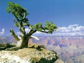 Grand Canyon Arizona Usa Places Computer Desktop Wallpaper