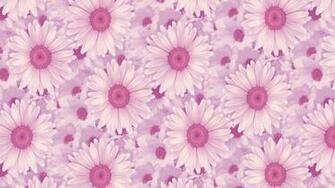 Related Pictures Daisies Background Wallpaper Photos