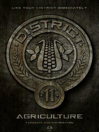 Hunger Games iPad Wallpaper HD Desktop