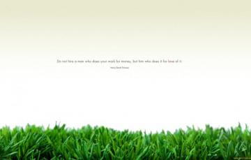 Wallpaper White Grass Minimalism Image For Desktop Section