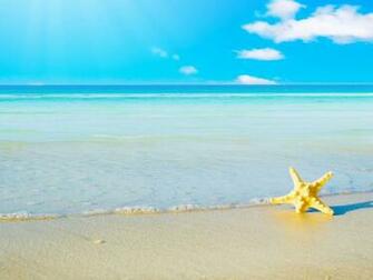 Star Fish Sea Beach Sand Wallpaper All