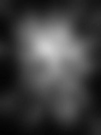 Ted Evans Photography Digital Background Backdrops