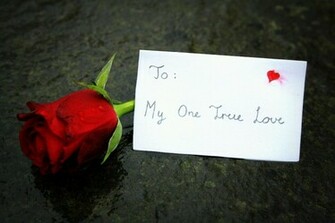 True Love Wallpaper HD