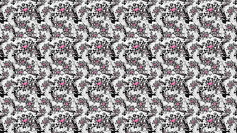 Roxy Desktop Wallpaper Installing This Is Easy