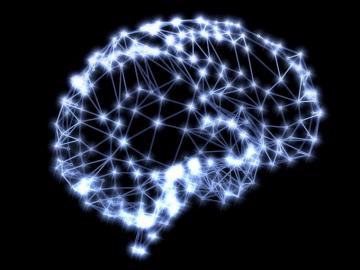 Brain Games Don T Work According To A New Study Fortune