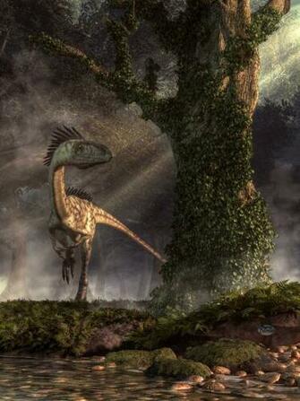Best Coelophysis Wallpaper