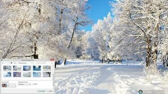Winter Trees Windows Theme Will Help