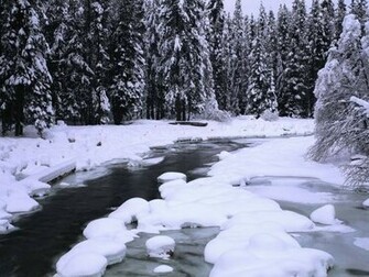 Dual Screen Winter Nature Wallpaper