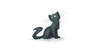 Homestuck Cat Drawing White Cats Wallpaper Background