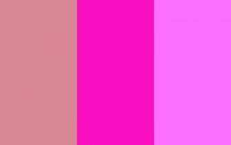 Blush Shocking Pink And Crayola Three Color Background