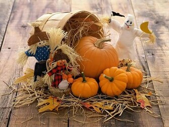 Thanksgiving Day Funny HD Wallpaper For iPhone