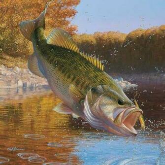 Lake Amistad Bass Fishing An Over Tips