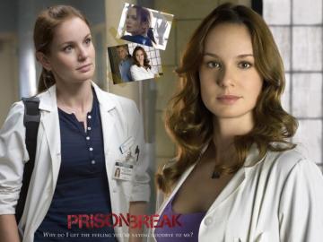 Dr Sara Tancredi Wallpaper Stock Photos