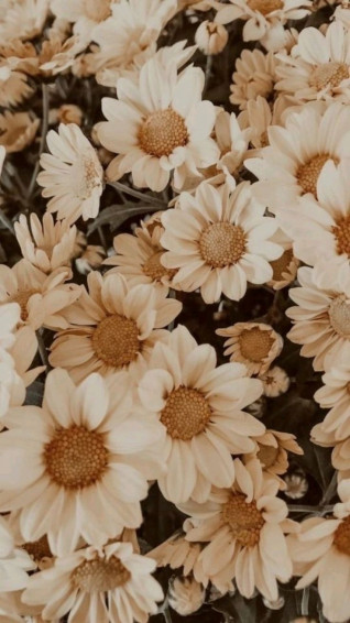 Floral Wallpaper iPhone Design Flowers Quotes Aesthetic