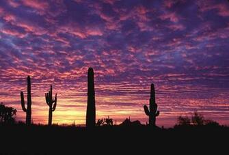 Az Sunset Wallpaper At Wallpaperbro