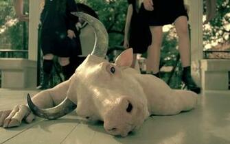 American Horror Story Coven Live Wallpaper HD4wallpaper Net