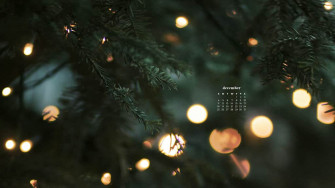 December Wallpaper Bies For Desktop Phones