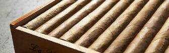 Wallpaper Cigars Snuff Transmission Tree Cube