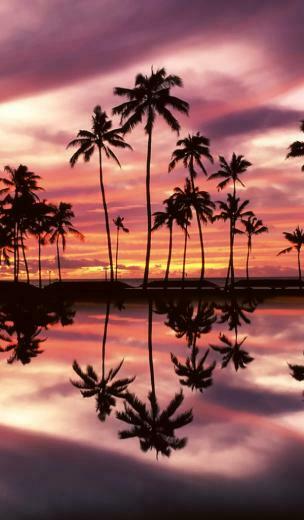 Sunset Over The Ala Moana Beach Park Honolulu Oahu Hawaii
