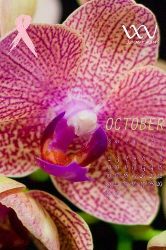 Desktop Calendar For October Breast Cancer Awareness Month