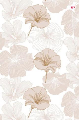 Elegant Flower Patterns Floral Background Cute