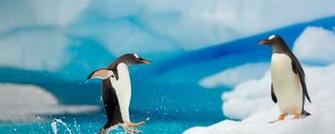 Ice Arctic Jump Antarctica Dual Monitor Resolution HD Background