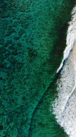 Amazing Travel Wallpaper For iPhone X Green