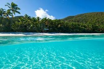 Pin Trunk Bay Saint John Wallpaper Beach
