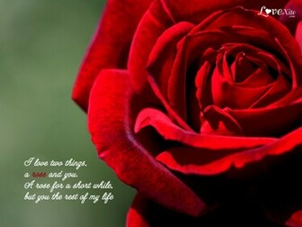 Love Wallpaper Cute Sad