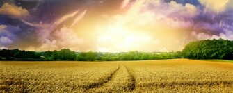 Home Panoramic Wallpaper